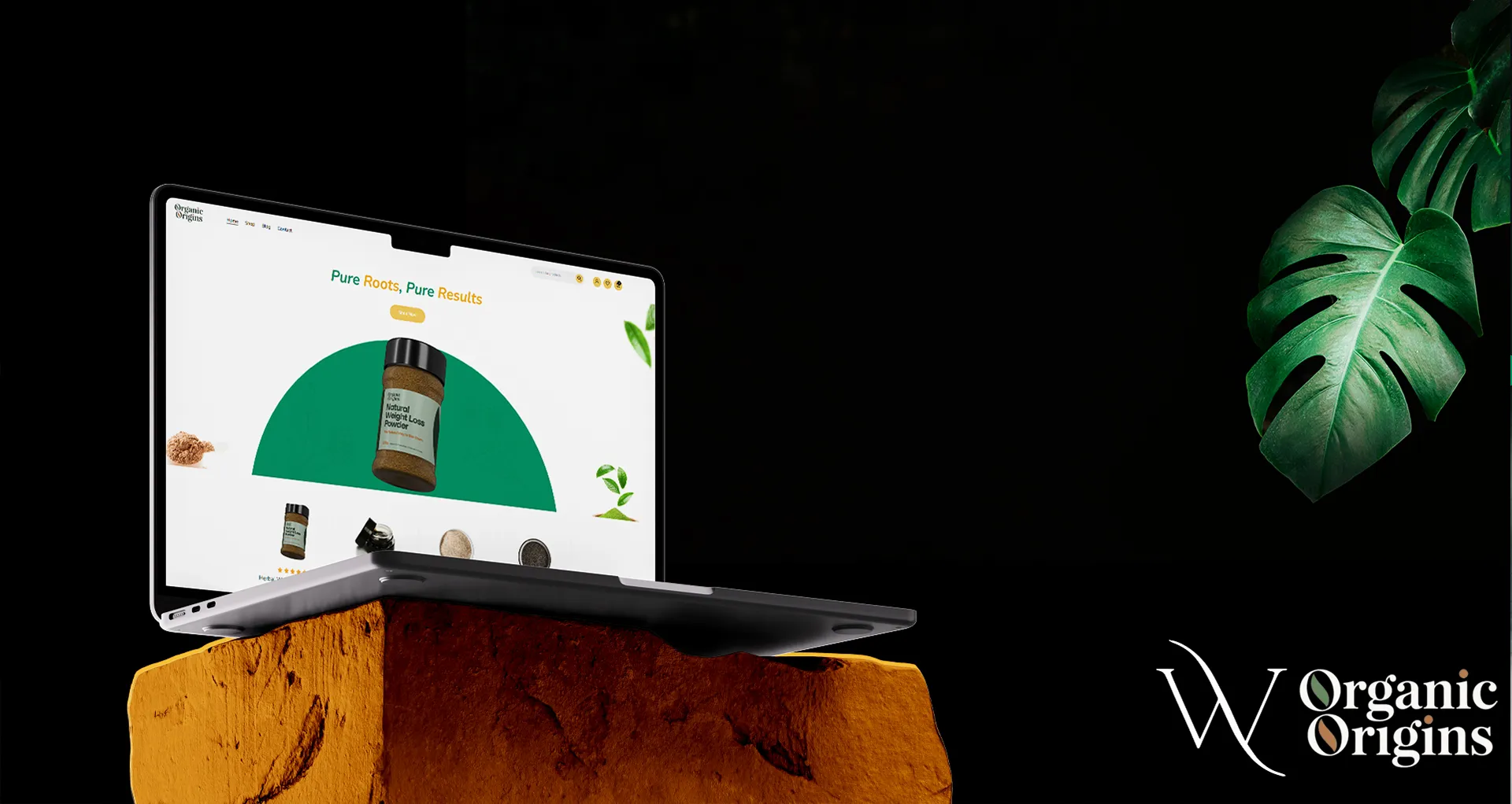 Organic Origins- Project Gallery Photo 2